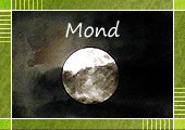 Die Mondphasen 
und Stimmungen im Mondlicht